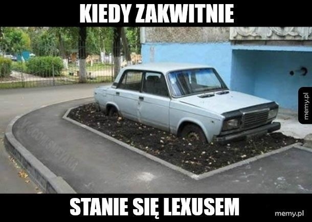 Z tych samochodów internauci mają bekę. Poznaj najśmieszniejsze memy o motoryzacji, które rozbawią Cię do łez! 14.03.2024