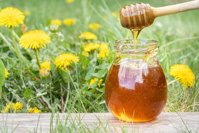Miód z mniszka lekarskiego to trudno dostępne dzieło pracowitych pszczół. Równie wartościowy syrop z tej popularnej rośliny można przygotować samodzielnie.
