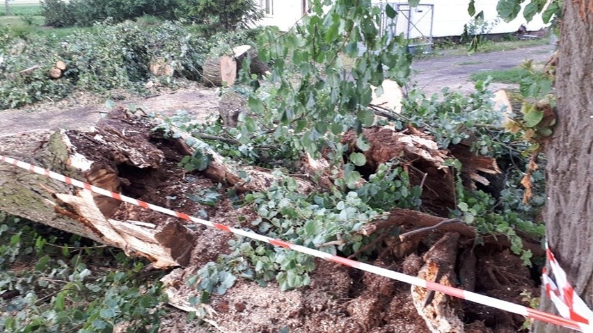 Burza w powiecie chełmińskim. Są zerwane dachy 