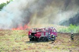 Pożary lasów. Wyjątkowo gorący wrzesień. Przez podpalacza