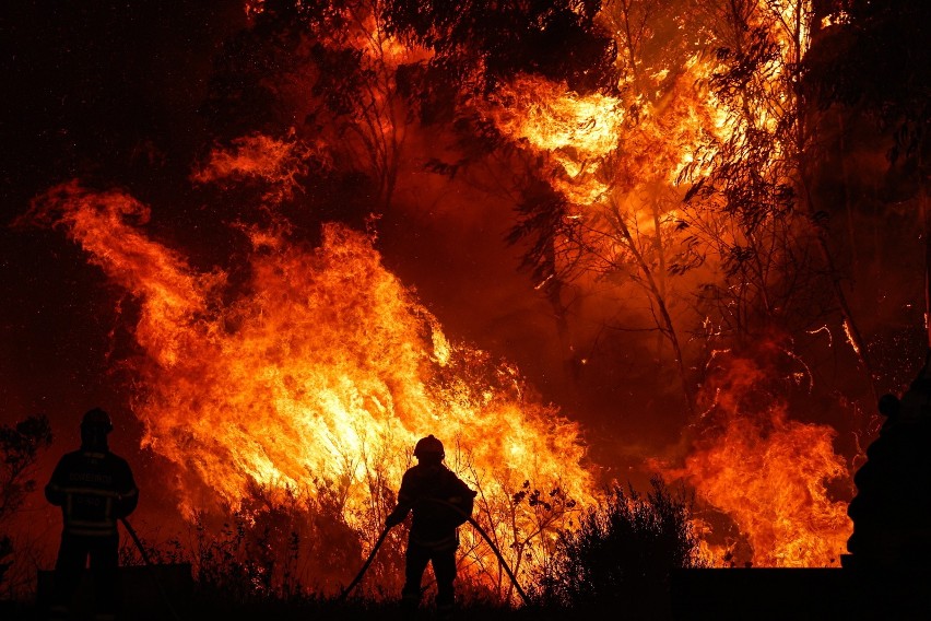 Portugalia walczy z pożarami lasów i łąk.