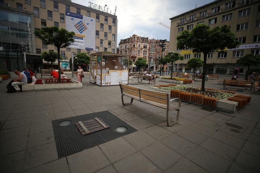 Rynek w Katowicach bez drzew? Dziewięć surmii zostało wyciętych