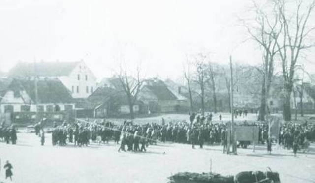 Rynek Sienny w czasie okupacji niemieckie