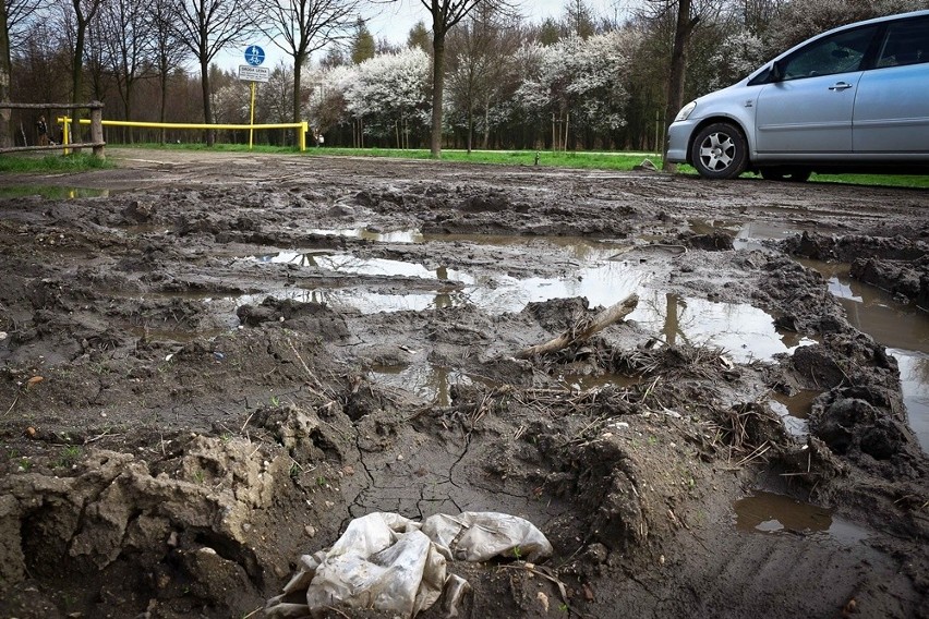 Tak wygląda parking przy Parku Tysiąclecia