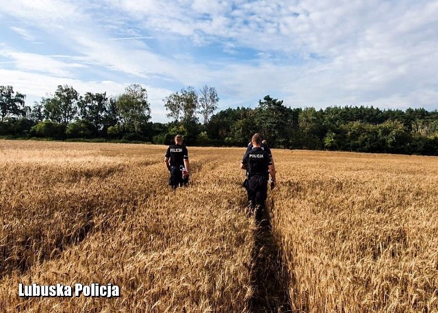 Trwają poszukiwania zaginionego 76-latka