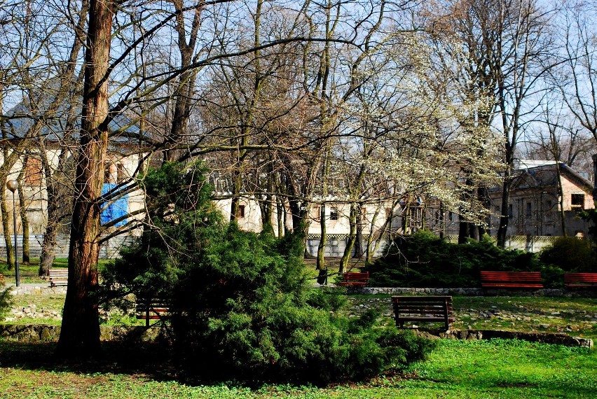 Spacer po Parku Miejskim w Siemianowicach