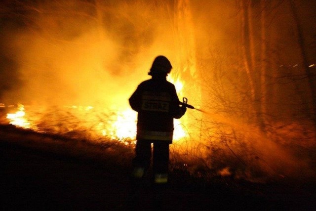 To zdjęcie zostało zrobione przez strażaków podczas gaszenia podpalonej trawy w Chrząstowicach. Mieszkańcy podejrzewają, że za tymi pożarami stoi jedna osoba.