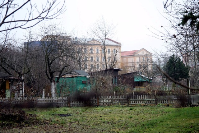 Jak ochronić przed niekontrolowaną zabudową teren, na którym był Wielki Staw Królewski?