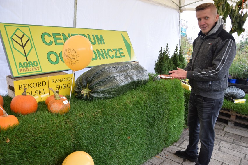 Gigantyczne warzywa pokazano w sobotę, 5 października, w...