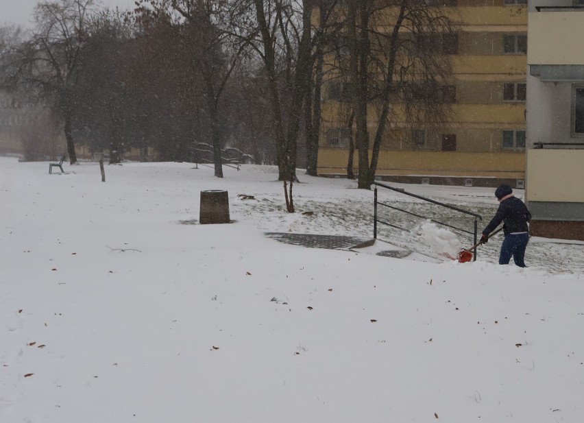 Kolejny atak zimy w Radomiu. Trudne warunki na drogach 