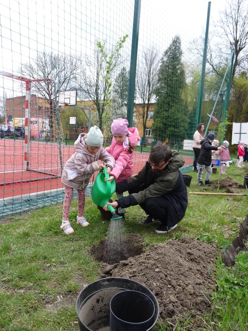 Przedszkolaczki ze Skaryszewa sadziły drzewka niedaleko Miejsko-Gminnego Ośrodka Kultury
