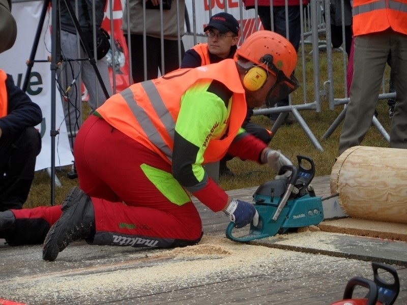 Cietrzewisko 2013 w Koszęcinie