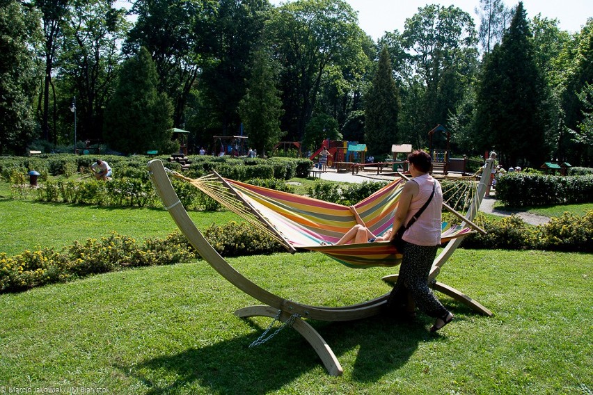 Hamaki pojawiły się na Plantach i w Zwierzyńcu