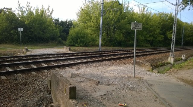 PKP SA ogłosiła przetarg na sprzedaż złomu pochodzącego z likwidacji nieczynnych torów linii kolejowej nr 209 na 50-kilometrowym odcinku Brodnica – Kowalewo Pomorskie przez Golub-Dobrzyń.