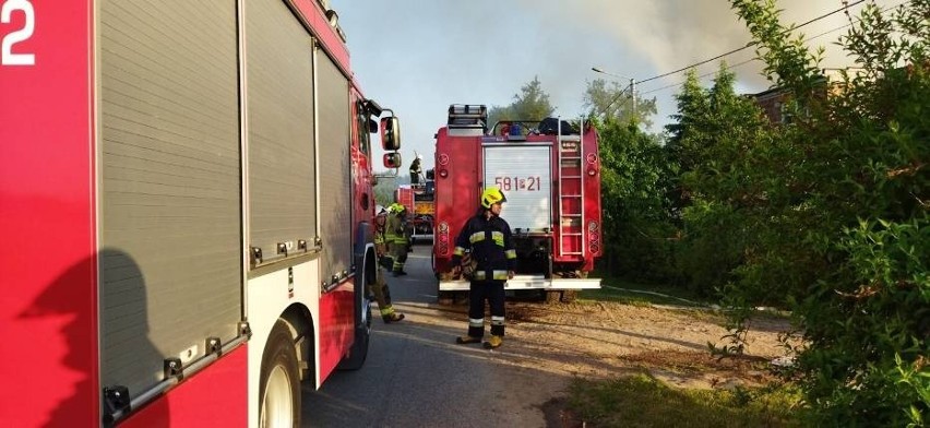 Kilkanaście zastępów straży pożarnej gasiło pożar pod Gnieznem 