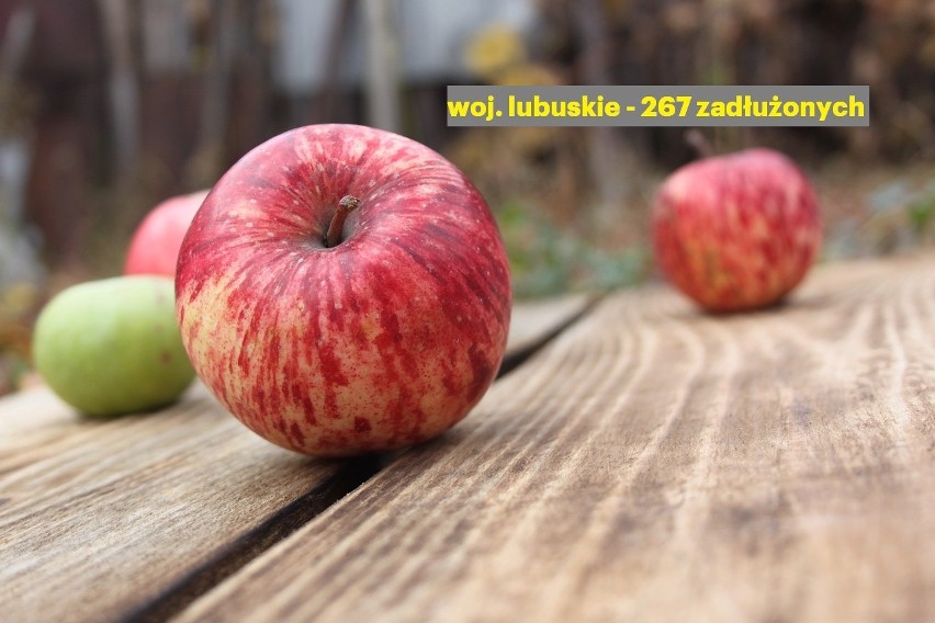 Maksymalne zadłużenie rolnika - woj. lubuskie 7 303 584 zł