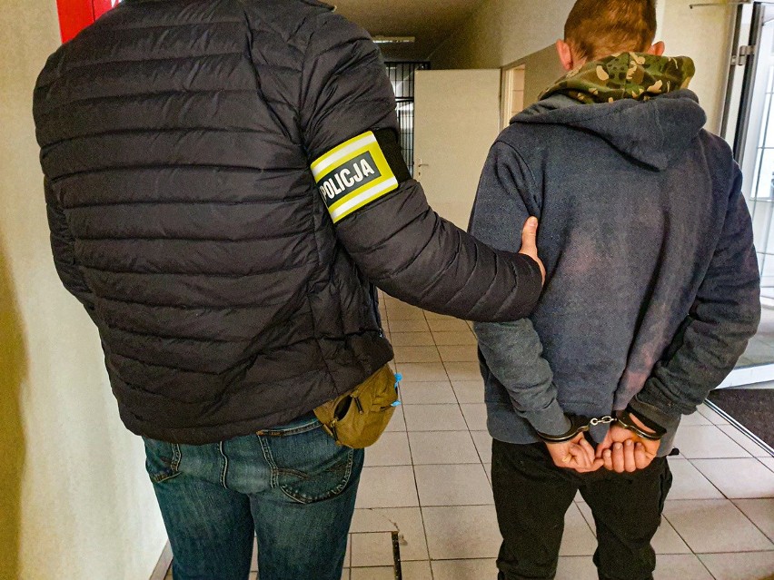 Mieszkańcy Wasilkowa podejrzani o kradzież katalizatora, samochodu i uprawę narkotyków [zdjęcia]