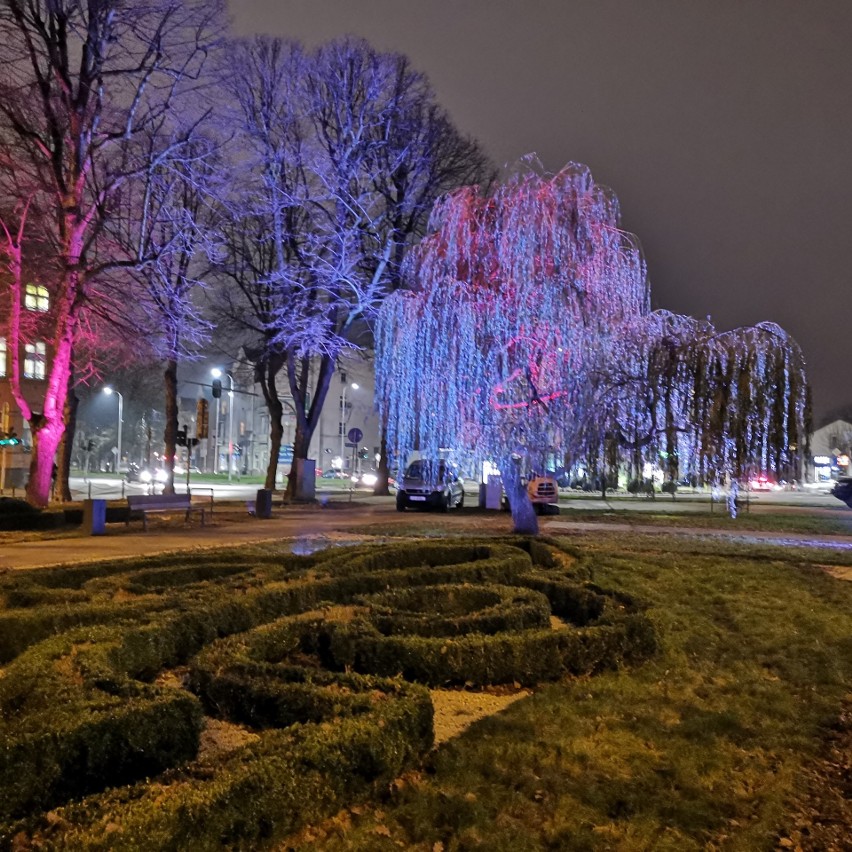 Nowe oświetlenie w parku przy ul. Sienkiewicza