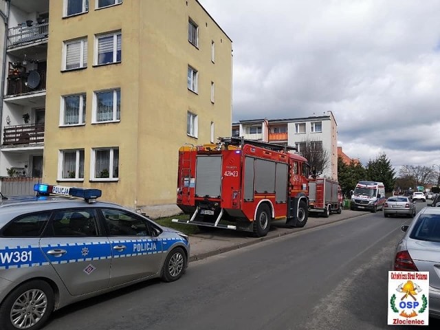 Interwencja strażaków z OSP Złocieniec