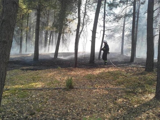Pożar w Polanowie