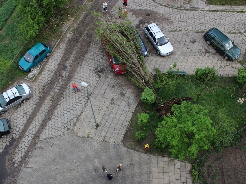 Drzewo spadło na parkingu osiedlowym ul. Dunikowskiego w...