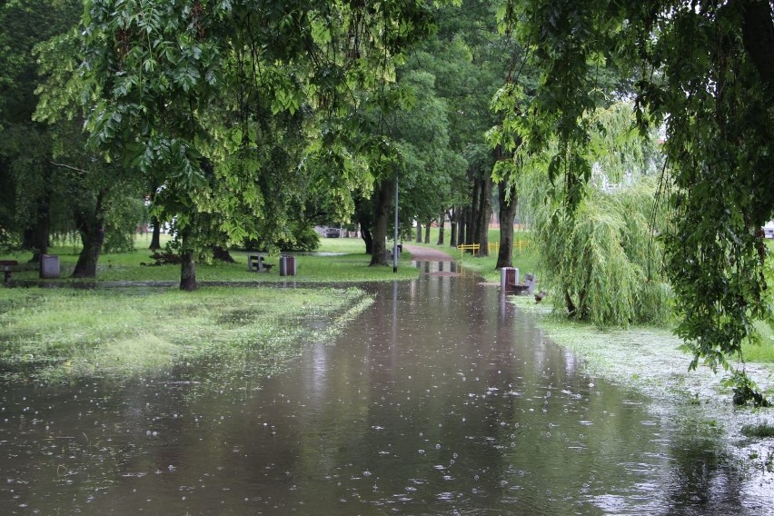 Białystok. Park Antoniuk pod wodą. Nad Białką pojawiły się jeziorka (zdjęcia)