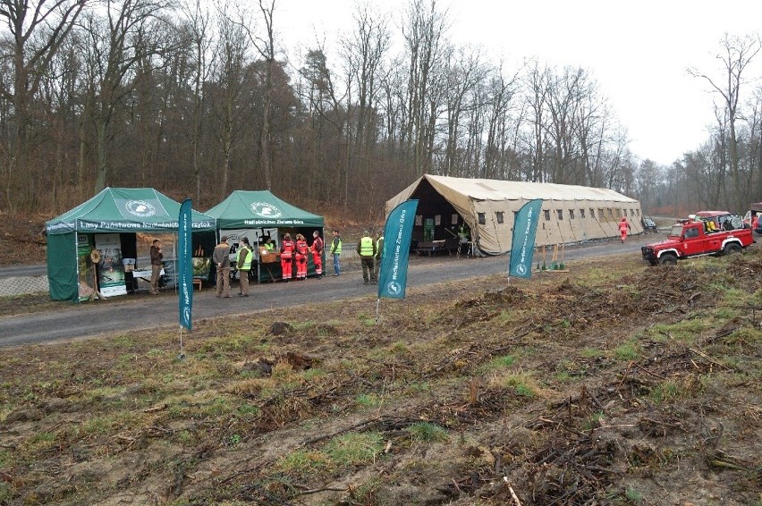 28 marca 2015 roku nieopodal siedziby Nadleśnictwa Zielona...