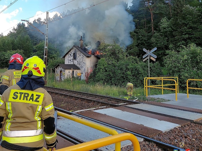 Pożar w okolicach stacji PKP Reda - Pieleszewo (10.07.2022). Były utrudnienia w ruchu kolejowym na trasie Wejherowo - Reda | ZDJĘCIA
