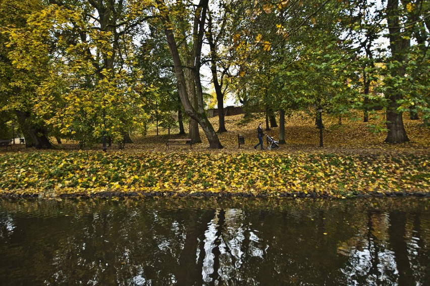 Piękny park w Koszalinie w jesiennej szacie.