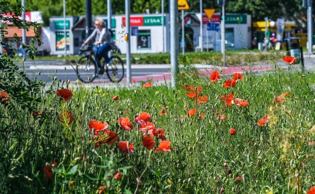 Wypracowane przez dwa lata rekomendacje czekają na konsultacje społeczne.