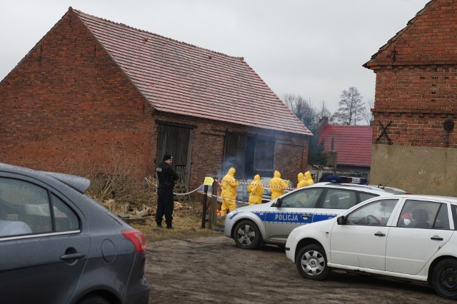 W promieniu trzech kilometrów od ogniska ptasiej grypy w Nowej Soli wyznaczony został obszar zapowietrzony.