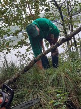 Brawo! Wędkarze z koła Lipień uporządkowani teren przy jeziorze Kopieniec (zdjęcia)