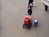 Przywiązała wycieńczone dziecko do wózka. Szarpała je [ZDJĘCIA, FILM]