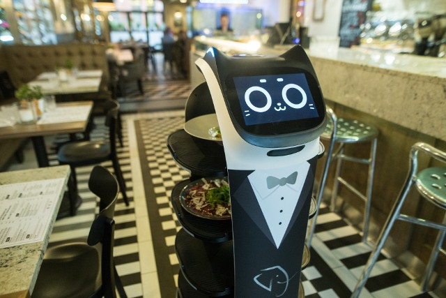 Robot Bellabot po raz pierwszy wykorzystany był w Poznaniu. Kliknij w obrazek, aby zobaczyć więcej zdjęć robotów pracujących w gastronomii.