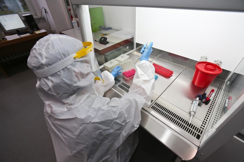 Naukowcy z Katowic chcą wykorzystać komórki macierzyste do...