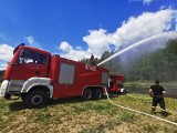 Wielkie ćwiczenia strażaków. Na wypadek pożaru w Puszczy Białowieskiej