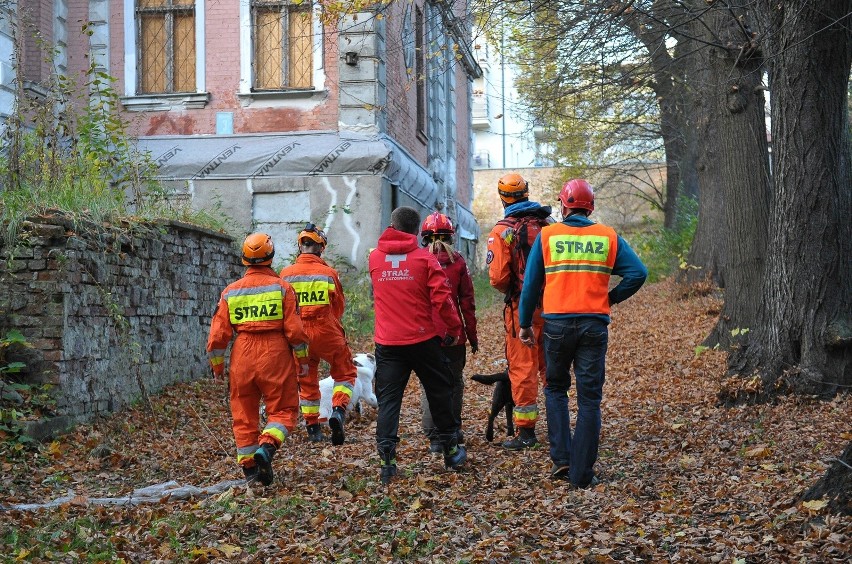 Szczecin: Zawalił się dach w dawnej przychodni przy Słowackiego [zdjęcia]