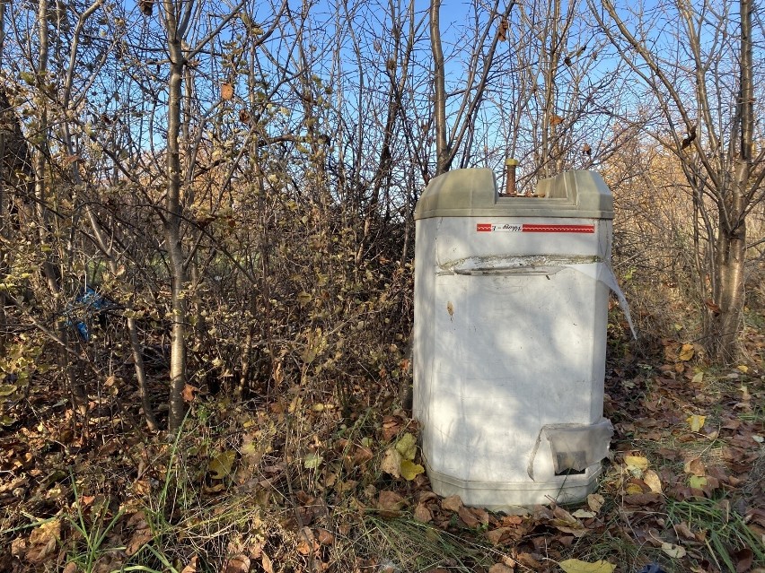 Śmieci w lasach powiatu olkuskiego