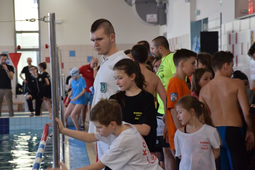 Blisko 300 pływaków i dobre wyniki na zawodach o Puchar Dyrektora MOSiR w Kielcach [dużo zdjęć]