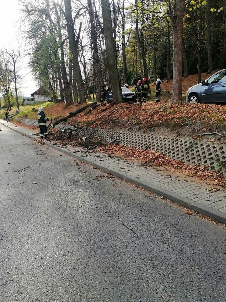 Drzewo spadło na samochód w Kalwarii Zebrzydowskiej, tuż koło klasztoru