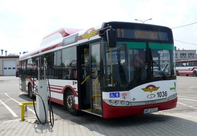 Studencki korowód, który przejdzie w środę ulicami Radomia, spowoduje opóźnienia w kursowaniu autobusów komunikacji miejskiej.