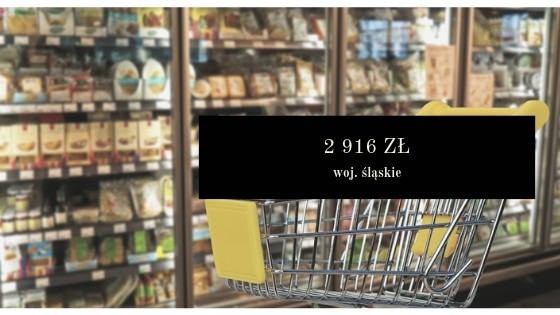 Tyle "bez ściemy" zarabiają kasjerzy w sklepach Lidl i Biedronka w 2021 roku. Zobaczcie ich zarobki