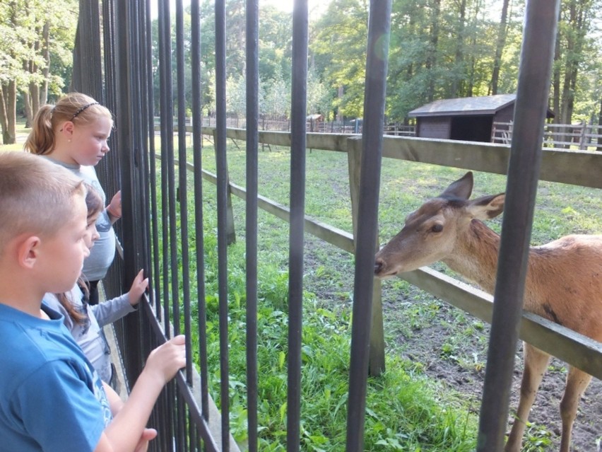 Białostocki ogród zoologiczny, odkąd przeszedł gruntowną...