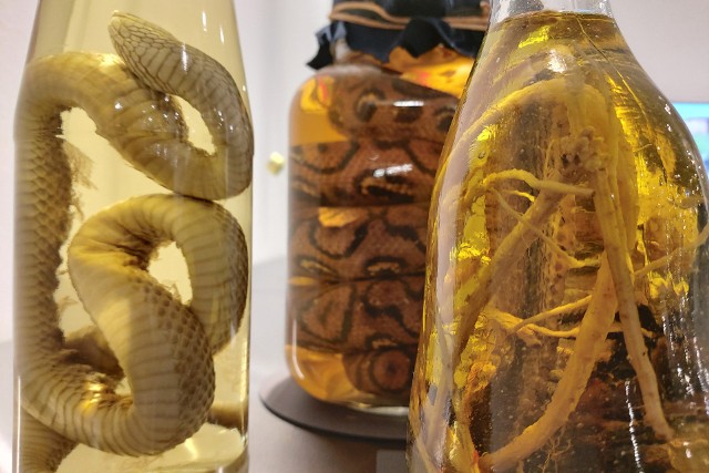 Japoński likier z Okinawy na bazie węży.  Kliknij w obrazek, aby zobaczyć galerię odrażającego jedzenia.