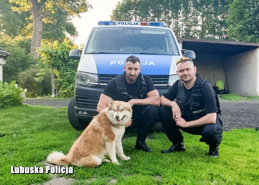 ŻARY. Uratował, dał dom i lepsze życie - policjant przygarnął porzuconego psa                                                               