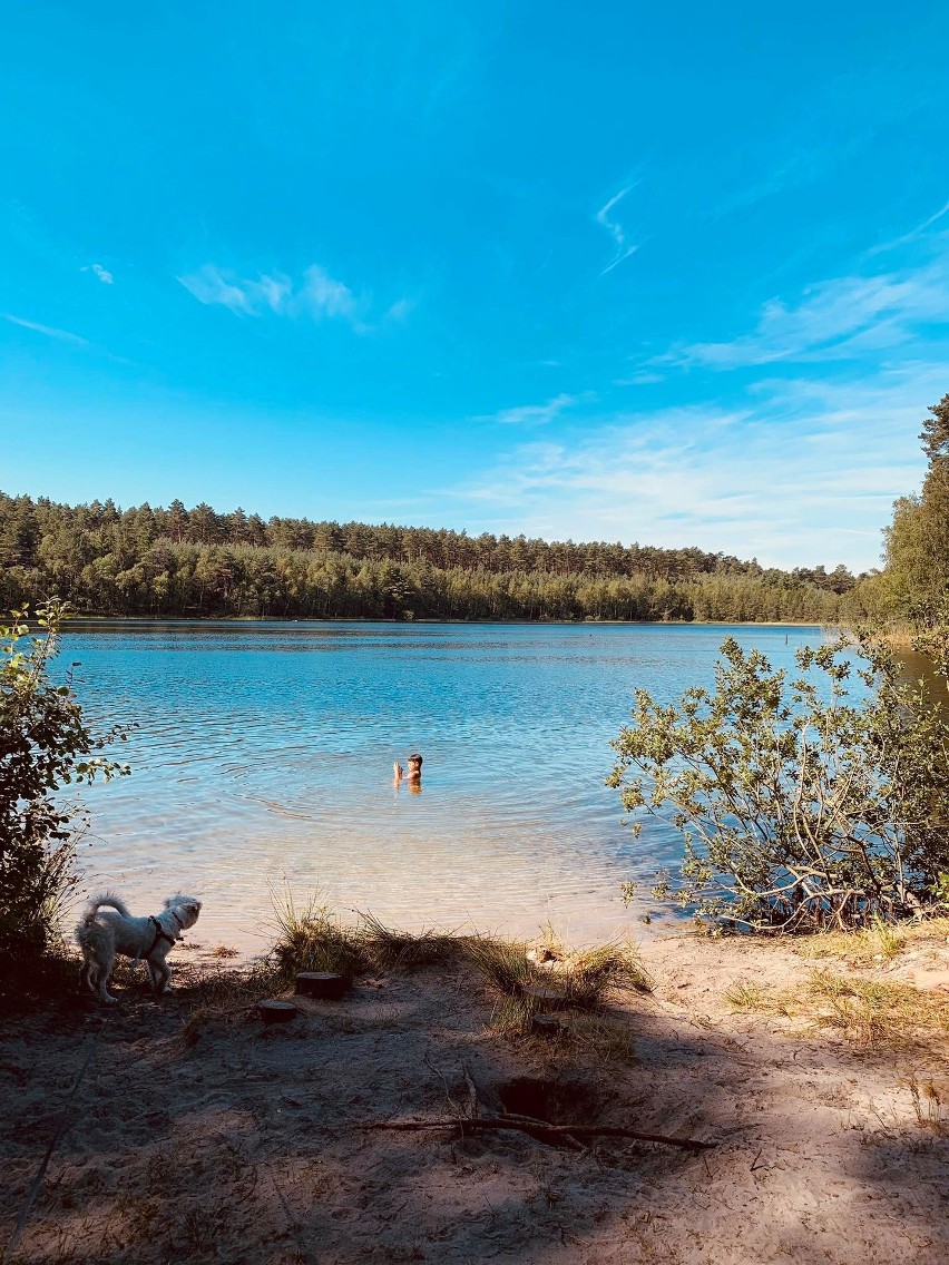 Piątek nad jeziorem Wyszeborskim