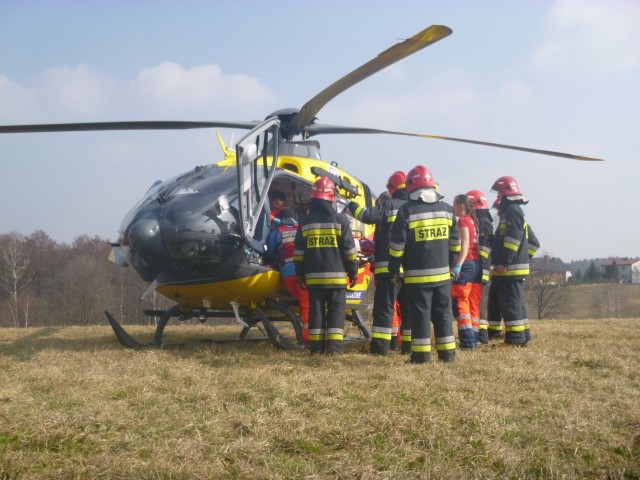 Drzewo przygniotło 78-latka. Mężczyzna chciał je ściąć