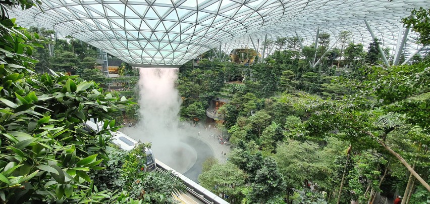 Na lotnisku Changi w Singapurze rośnie rozległy ogród...