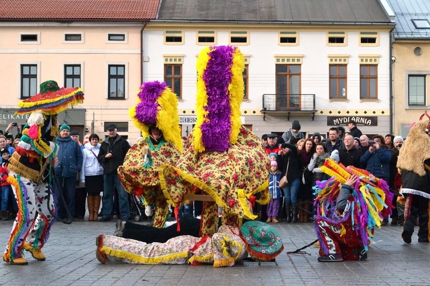 Żywieckie Gody 2016