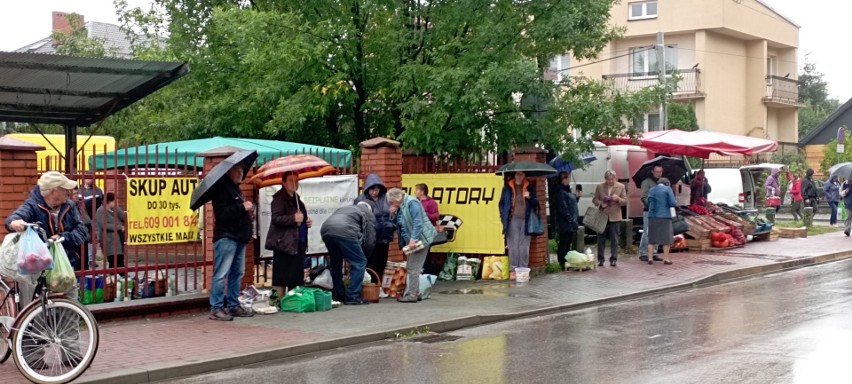 W czwartek 15 września na targu w Jędrzejowie padał silny...